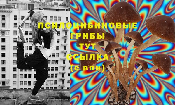 мдма Белокуриха